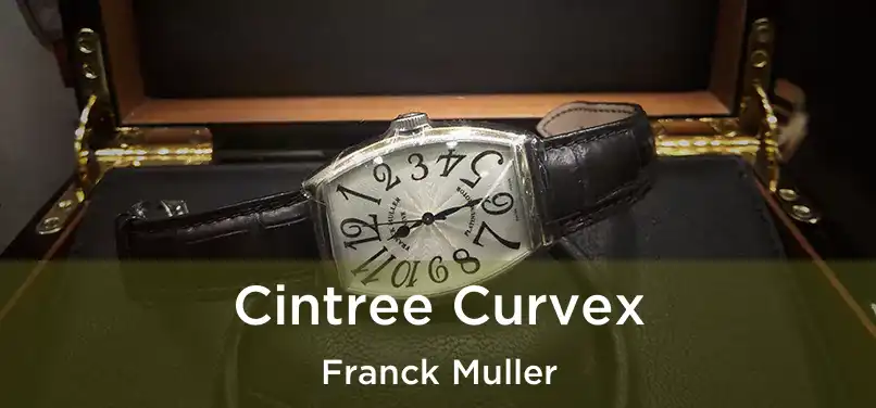  Cintree Curvex Franck Muller